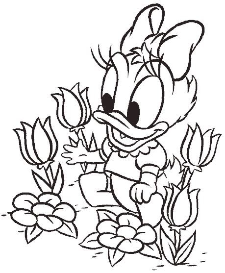 Daisy bebe para colorear