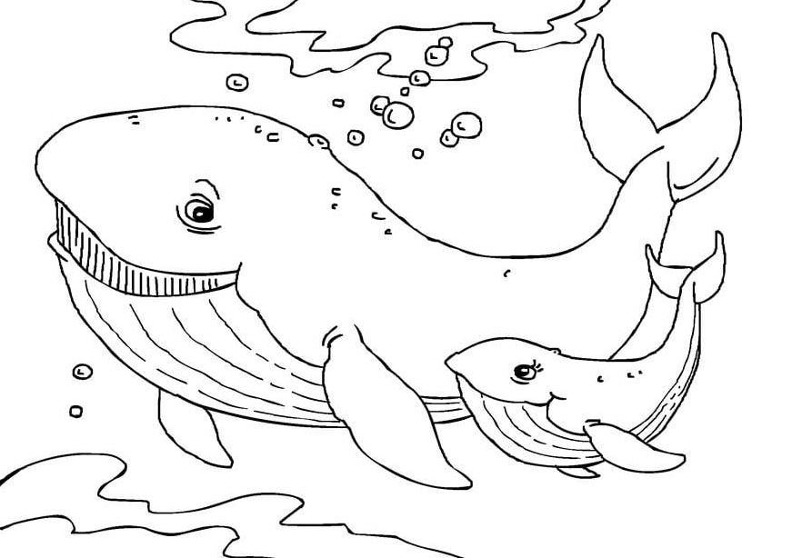 Ballena para colorear