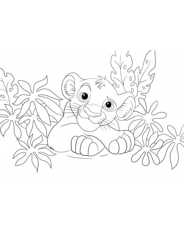 Simba para colorear