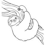 Dibujo de perezoso para colorear