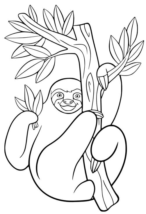 Dibujo de perezoso para colorear