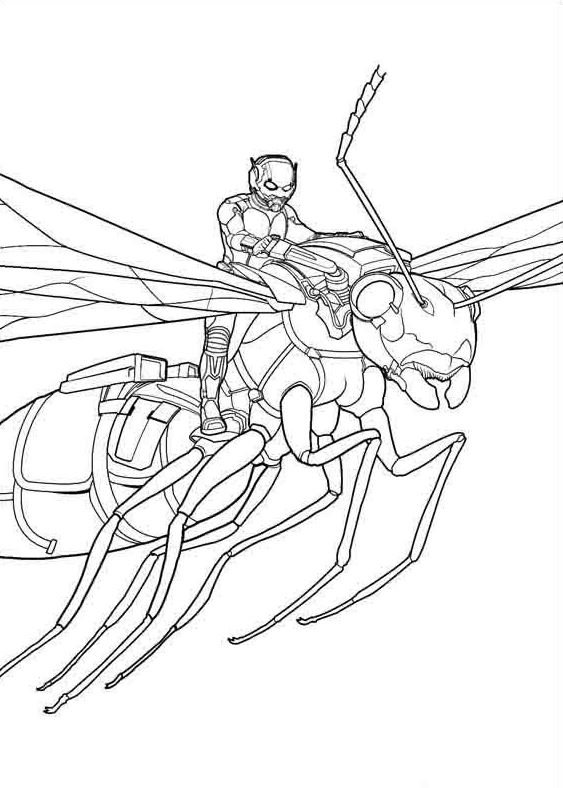 Dibujo de Ant Man para colorear