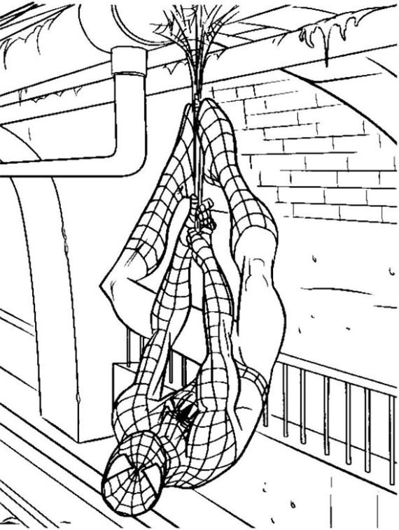 Dibujo de Spiderman para colorear