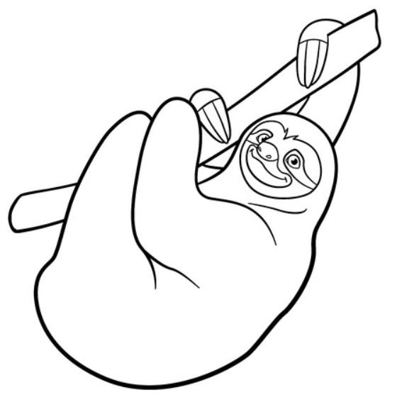 Dibujo de perezoso para colorear