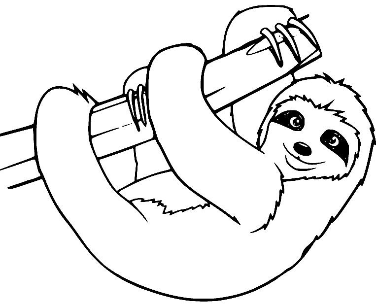Dibujo de perezoso para colorear