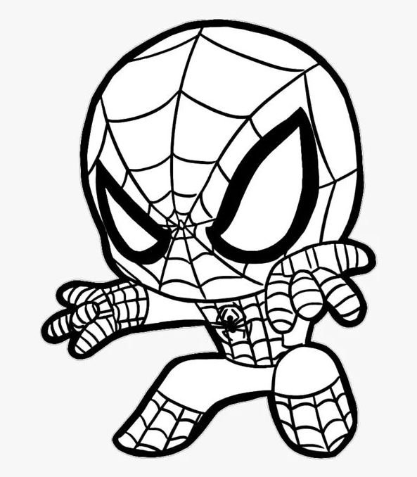 Dibujo de Spiderman fácil para colorear